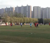 绿茵豪门绿茵场